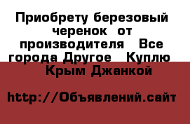 Приобрету березовый черенок  от производителя - Все города Другое » Куплю   . Крым,Джанкой